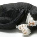 Image of Dollhouse Miniature Cat, Socks FCA1018SK