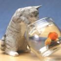 Image of Dollhouse Miniature Gray Cat w/Fish Bowl FCA1428G