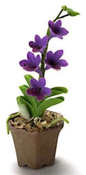 Image of Dollhouse Miniature Orchid in Hexagon Pot FCA1542