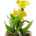 Image of Dollhouse Miniature Orchids in Hexagon Pot FCA1543