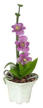 Image of Dollhouse Miniature Orchids in Hexagon Pot FCA1545