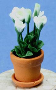 Image of Dollhouse Miniature White Roses in Pot FCA1569