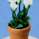 Image of Dollhouse Miniature White Roses in Pot FCA1569