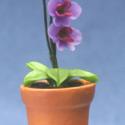 Image of Dollhouse Miniature Orchid in Pot FCA1576