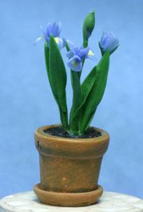 Image of Dollhouse Miniature Blue Iris in Aged Pot FCA2202BL