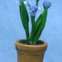 Image of Dollhouse Miniature Blue Iris in Aged Pot FCA2202BL
