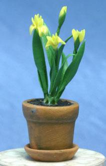 Image of Dollhouse Miniature Yellow Iris in Aged Pot FCA2202YW
