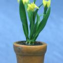 Image of Dollhouse Miniature Yellow Iris in Aged Pot FCA2202YW