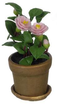 Image of Dollhouse Miniature Pink Camellia in Pot FCA2289PK