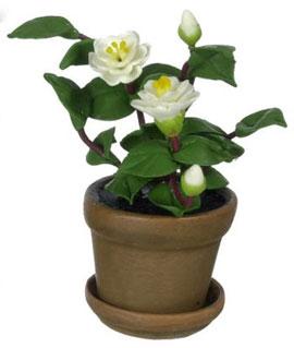 Image of Dollhouse Miniature White Camellia in Pot FCA2289WH