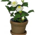 Image of Dollhouse Miniature White Camellia in Pot FCA2289WH