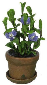 Image of Dollhouse Miniature Blue Flower in Pot FCA2319