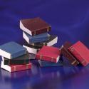 Image of Dollhouse Miniature Set of Books 12 Pcs IM65770