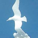 Image of Dollhouse Miniature Plastic Seagulls