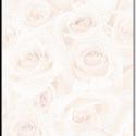 Image of Blush Roses Letterhead