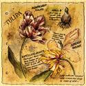 Image of Botanical Journal Tulip Wood Mounted Rubber Stamp