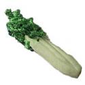 Image of Dollhouse Miniature Celery Bunch