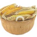 Image of Dollhouse Miniature Basket Of Corn