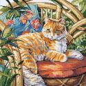 Image of Cat in the Sun Counted Cross Stitch Kit 023-0559