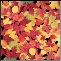 Image of Colored Leaves Scrapbook Paper