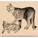 Image of Cougar & Cub JR1027 Wood Mounted Rubber Stamp