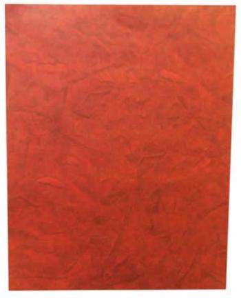 Image of Crinkle Red Paper