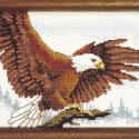 Image of Eagle In Flight  Counted Cross Stitch Kit