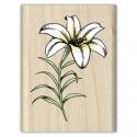 Image of Easter Lily Wood Mounted Rubber Stamp