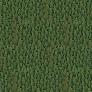 Image of Evergreen Forest Scrapbook Paper
