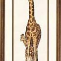Image of Giraffe Mother & Baby Counted Cross Stitch Kit