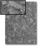 Image of Gray Dust Scrapbook Paper