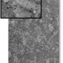 Image of Gray Dust Paper