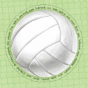 Image of Jumbo Volleyball Scrapbook Paper