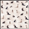 Image of Kitty Cats Scrapbook Paper