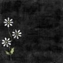 Image of Lazy Daisy A Scrapbook Paper