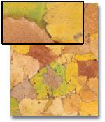 Image of Leaf Pattern Paper