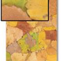 Image of Leaf Pattern Paper