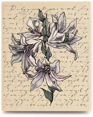 Image of Lilies/Script Wood Mounted Rubber Stamp