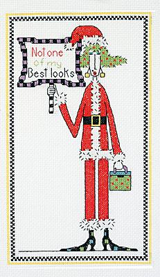 Image of Not one of my Best Looks Counted Cross Stitch Kit 019-0452