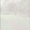 Image of Park Path Letterhead