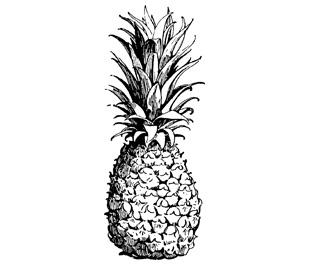 Image of Pineapple Wood Mounted Rubber Stamp