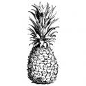 Image of Pineapple Wood Mounted Rubber Stamp