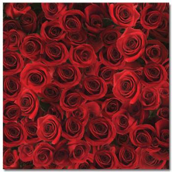Image of Roses of Red Scrapbook Paper