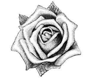 Image of Single Bloom Wood Mounted Rubber Stamp