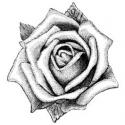 Image of Single Bloom Wood Mounted Rubber Stamp