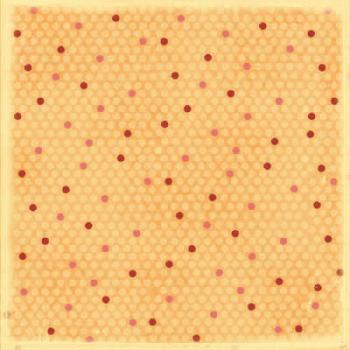 Image of Spunky Spots Scrapbook Paper