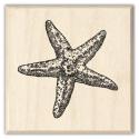Image of Starfish Wood Mounted Rubber Stamp