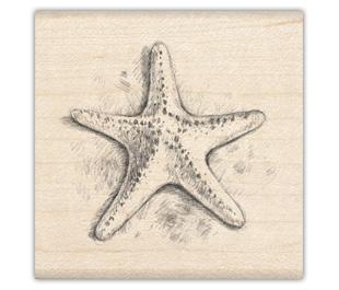 Image of Starfish Wood Mounted Rubber Stamp 97097