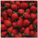 Image of Strawberry Patch Scrapbook Paper