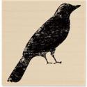 Image of Textured Bird F1197 Wood Mounted Rubber Stamp